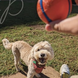 The essence of exceptional living social media post